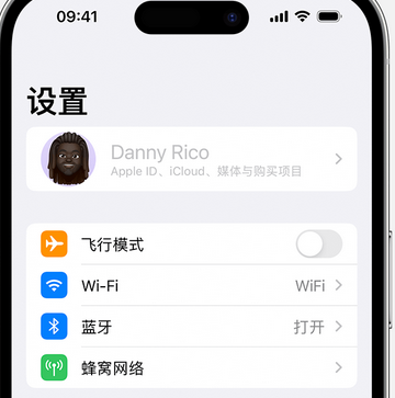 永修appleID维修服务iPhone设置中Apple ID显示为灰色无法使用 