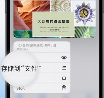 永修apple维修中心分享iPhone文件应用中存储和找到下载文件