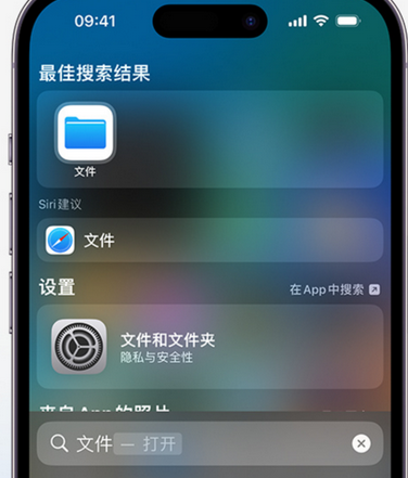 永修apple维修中心分享iPhone文件应用中存储和找到下载文件 