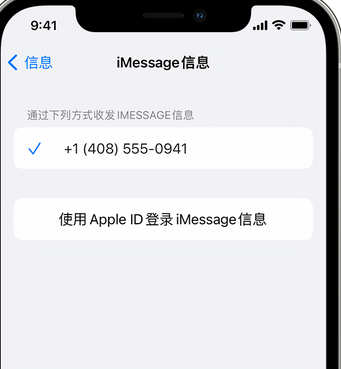 永修apple维修iPhone上无法正常发送iMessage信息 