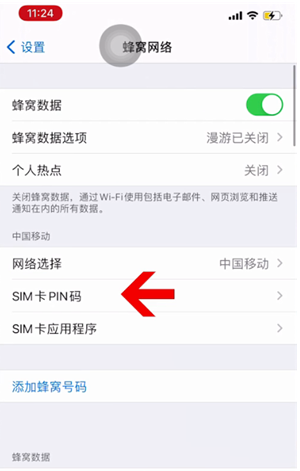 永修苹果14维修网分享如何给iPhone14的SIM卡设置密码 