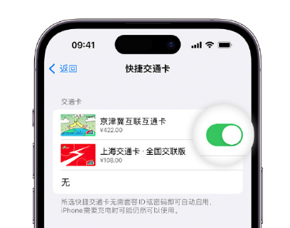 永修apple维修点分享iPhone上更换Apple Pay快捷交通卡手绘卡面 