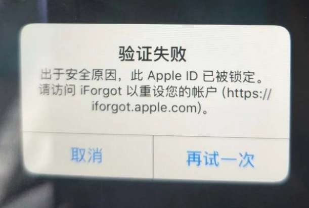 永修iPhone维修分享iPhone上正常登录或使用AppleID怎么办 