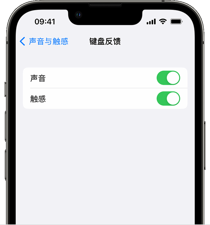 永修苹果14维修店分享如何在 iPhone 14 机型中使用触感键盘 