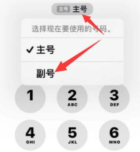 永修苹果14维修店分享iPhone 14 Pro Max使用副卡打电话的方法 