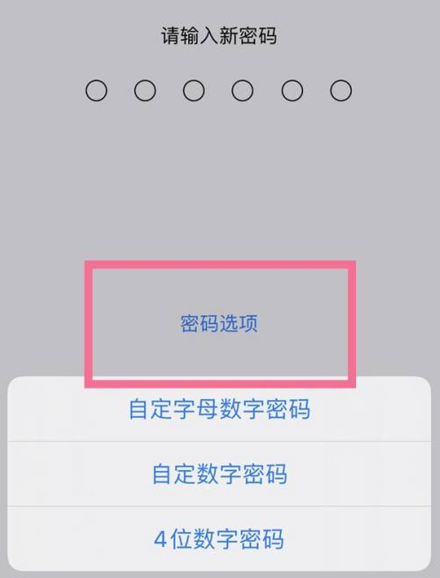 永修苹果14维修分享iPhone 14plus设置密码的方法 