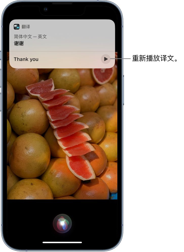 永修苹果14维修分享 iPhone 14 机型中使用 Siri：了解 Siri 能帮你做什么 