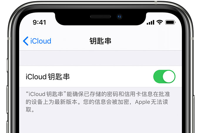 永修苹果手机维修分享在 iPhone 上开启 iCloud 钥匙串之后会储存哪些信息 