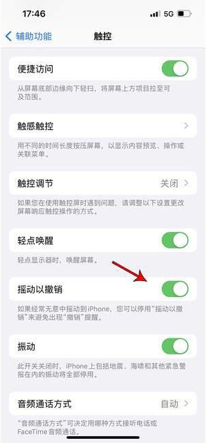 永修苹果手机维修分享iPhone手机如何设置摇一摇删除文字 