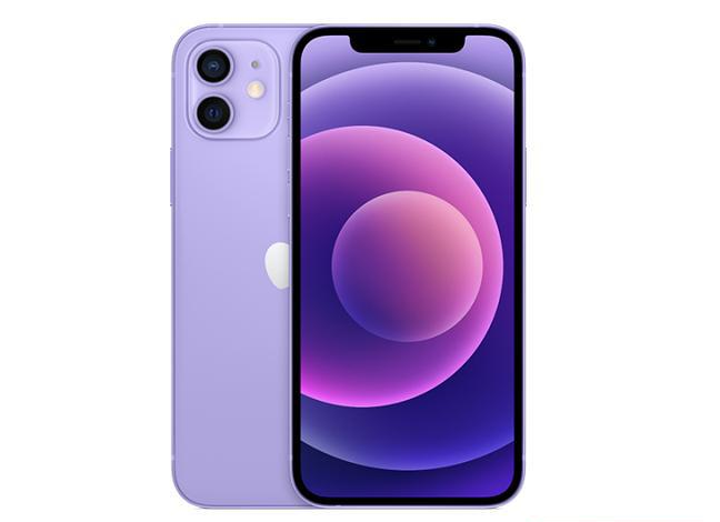 永修苹果手机维修分享现阶段要不要入手紫色版iPhone12 